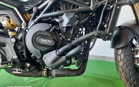 Neufahrzeug Benelli Leoncino 800 - Bild 5