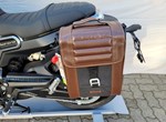 Angebot Benelli Leoncino 800