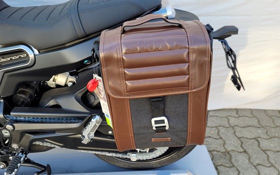 Neufahrzeug Benelli Leoncino 800 - Bild 23