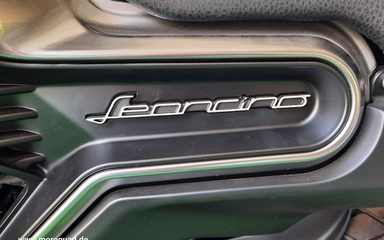 Neufahrzeug Benelli Leoncino 800 - Bild 7