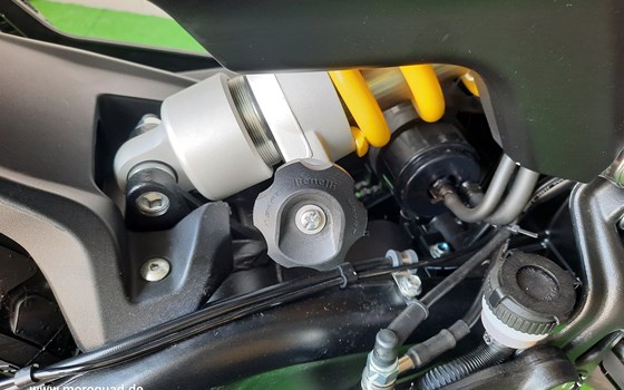 Neufahrzeug Benelli Leoncino 800 - Bild 11