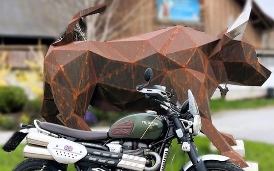 Gebrauchtmotorrad Triumph Scrambler 1200 XC - Bild 1