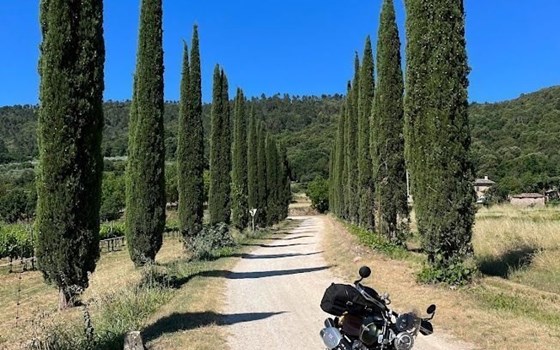 Gebrauchtmotorrad Triumph Scrambler 1200 XC - Bild 16