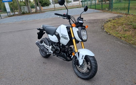 Neufahrzeug Honda MSX125 Grom - Bild 2