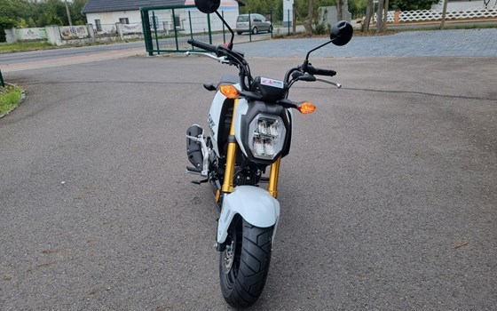 Neufahrzeug Honda MSX125 Grom - Bild 3