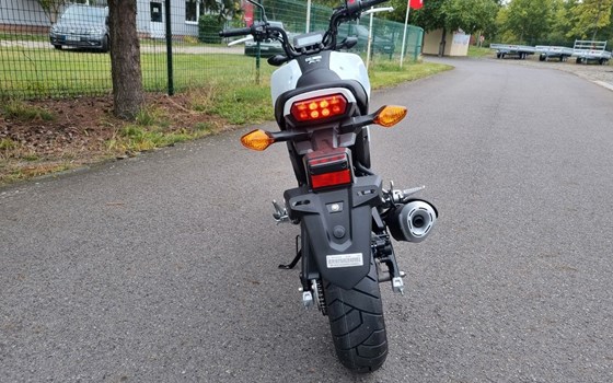 Neufahrzeug Honda MSX125 Grom - Bild 4