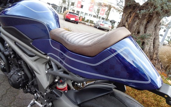 Gebrauchtmotorrad Triumph Speed Triple S - Bild 8