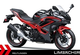 Neumotorrad Kawasaki Ninja 500 SE