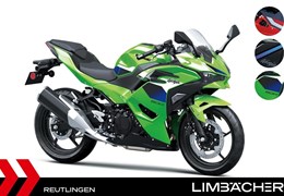 Neumotorrad Kawasaki Ninja 500 SE
