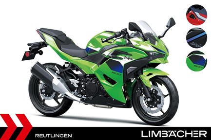 Kawasaki Ninja 500 SE