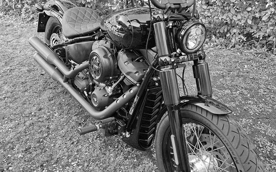 Gebrauchtmotorrad Harley-Davidson Softail Street Bob FXBB - Bild 2 Gebrauchtmotorrad Harley-Davidson Softail Street Bob FXBB - Bild 2