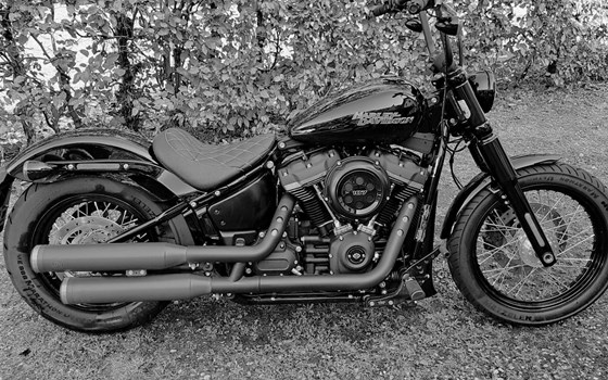Gebrauchtmotorrad Harley-Davidson Softail Street Bob FXBB - Bild 3 Gebrauchtmotorrad Harley-Davidson Softail Street Bob FXBB - Bild 3