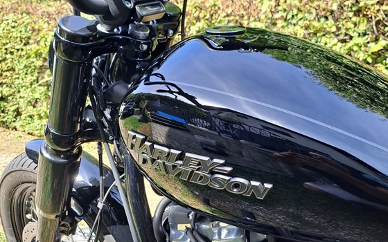 Gebrauchtmotorrad Harley-Davidson Softail Street Bob FXBB - Bild 6 Gebrauchtmotorrad Harley-Davidson Softail Street Bob FXBB - Bild 6