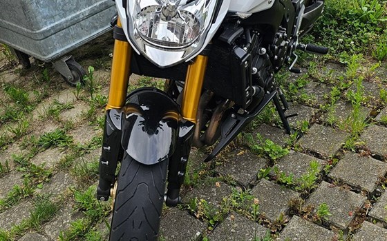 Offerta Yamaha FZ-8N - Immagine 1