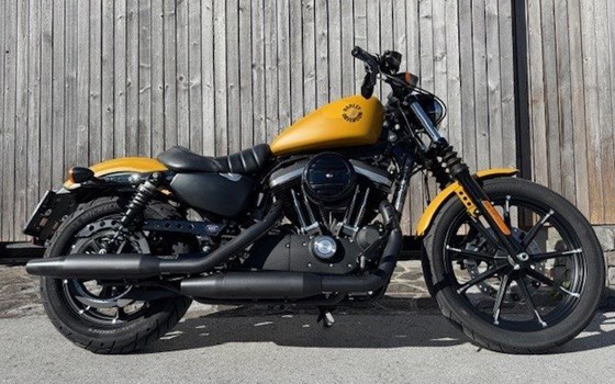 Gebrauchtmotorrad Harley-Davidson Sportster XL 883 N Iron - Bild 1