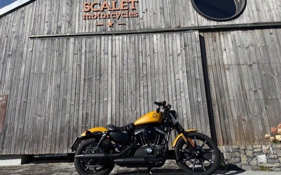 Gebrauchtmotorrad Harley-Davidson Sportster XL 883 N Iron - Bild 2 Gebrauchtmotorrad Harley-Davidson Sportster XL 883 N Iron - Bild 2