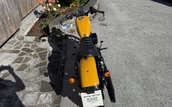 Gebrauchtmotorrad Harley-Davidson Sportster XL 883 N Iron - Bild 6