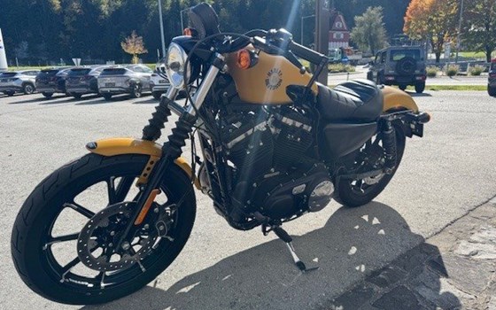 Gebrauchtmotorrad Harley-Davidson Sportster XL 883 N Iron - Bild 9 Gebrauchtmotorrad Harley-Davidson Sportster XL 883 N Iron - Bild 9