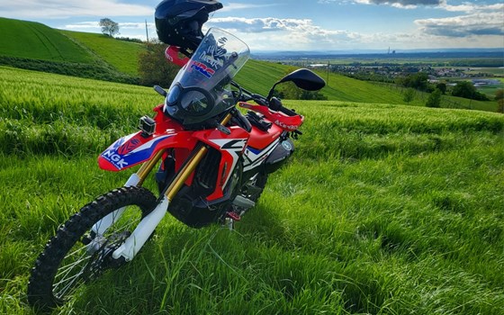 Gebrauchtmotorrad Honda CRF 250 X - Bild 4 Gebrauchtmotorrad Honda CRF 250 X - Bild 4