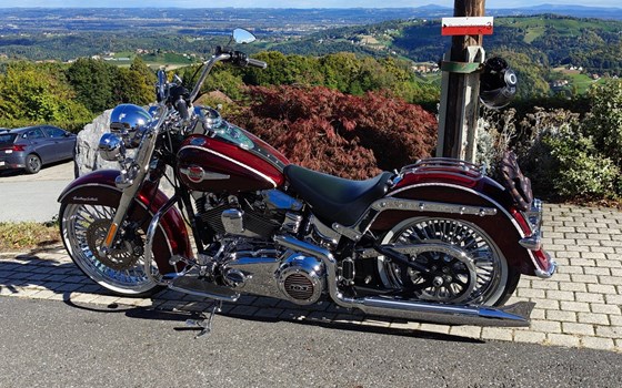 Gebrauchtmotorrad Harley-Davidson Softail Heritage Classic FLSTC - Bild 1 Gebrauchtmotorrad Harley-Davidson Softail Heritage Classic FLSTC - Bild 1