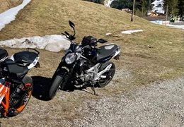 Gebrauchte Suzuki SFV 650 Gladius Gebrauchte Suzuki SFV 650 Gladius