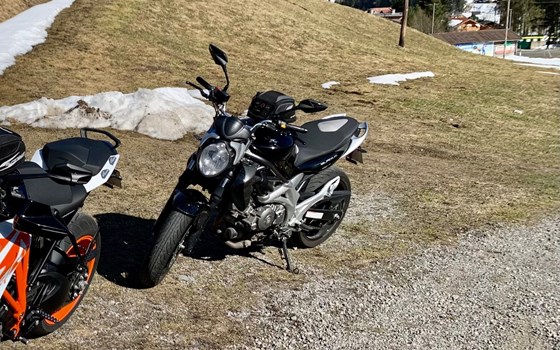 Gebrauchtmotorrad Suzuki SFV 650 Gladius - Bild 1 Gebrauchtmotorrad Suzuki SFV 650 Gladius - Bild 1