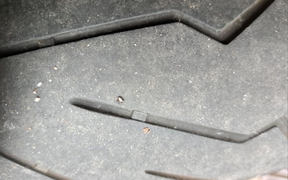 Gebrauchtmotorrad Triumph Street Triple 765 R - Bild 19