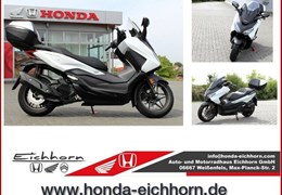 Neumotorrad Honda Forza 125