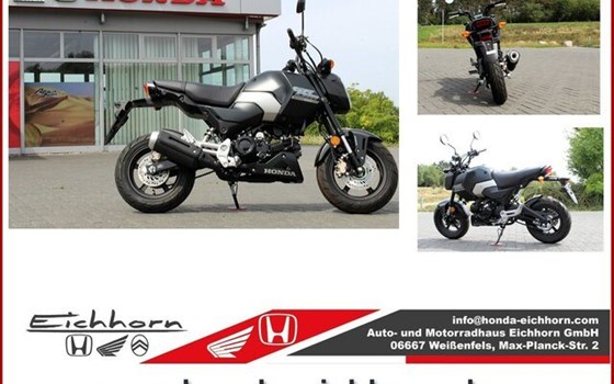 Neufahrzeug Honda MSX125 Grom - Bild 1