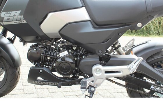 Neufahrzeug Honda MSX125 Grom - Bild 10