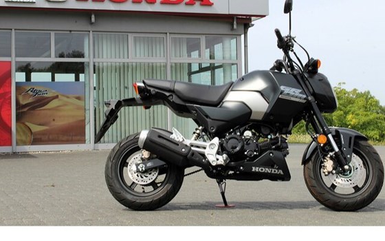 Neufahrzeug Honda MSX125 Grom - Bild 2