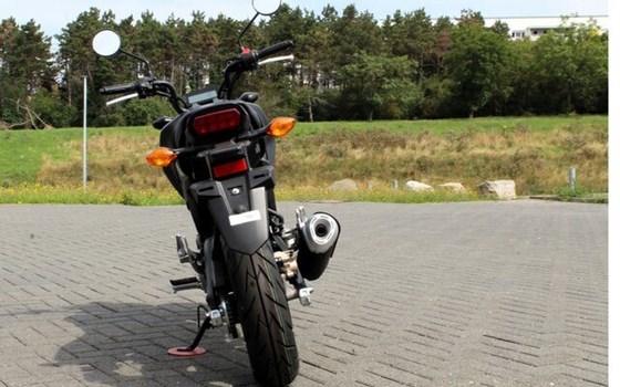 Neufahrzeug Honda MSX125 Grom - Bild 3
