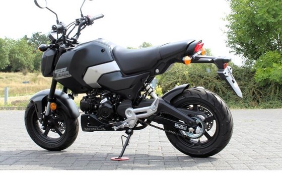 Neufahrzeug Honda MSX125 Grom - Bild 4