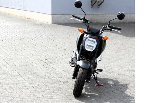 Neufahrzeug Honda MSX125 Grom - Bild 5