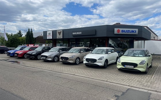 Gebrauchtmotorrad Suzuki SV650 - Bild 8