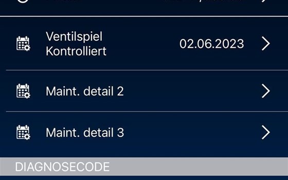 Gebrauchtmotorrad Yamaha YZ250F - Bild 6