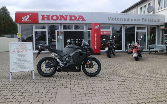 Neufahrzeug Honda CBR600RR - Bild 1