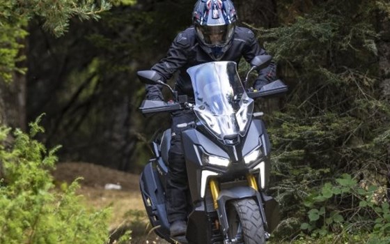 Neufahrzeug Sym ADX 400 TG - Bild 5