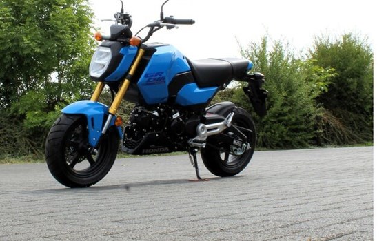 Gebrauchtmotorrad Honda MSX125 Grom - Bild 12