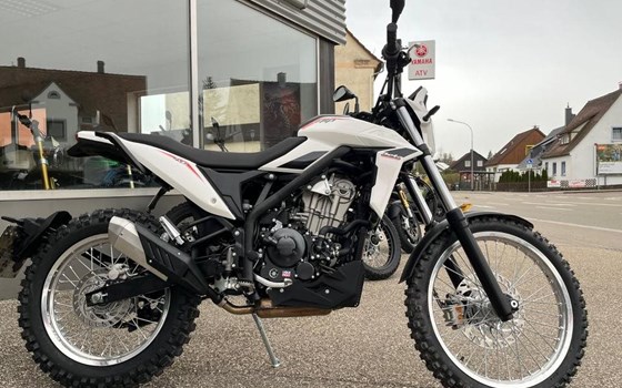 Neufahrzeug Beta Alp X - Bild 10