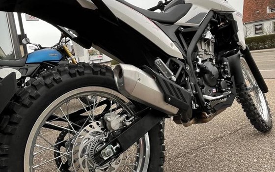 Neufahrzeug Beta Alp X - Bild 14