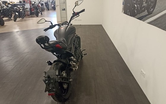 Neufahrzeug Benelli 502 C - Bild 7