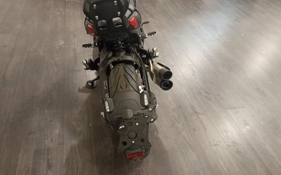 Neufahrzeug Benelli 502 C - Bild 8