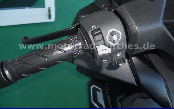 Neufahrzeug Honda Forza 125 - Bild 16