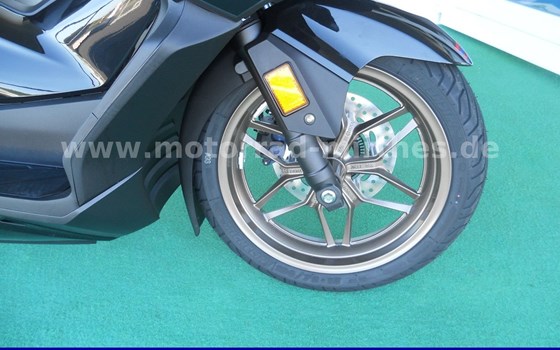 Neufahrzeug Honda Forza 125 - Bild 3