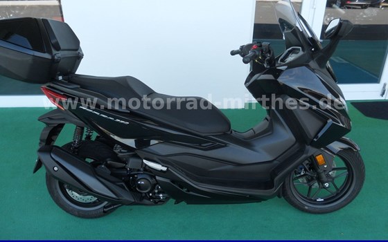 Neufahrzeug Honda Forza 350 - Bild 1