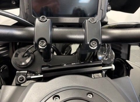 Gebrauchtmotorrad Harley-Davidson Pan America 1250 Special - Bild 10