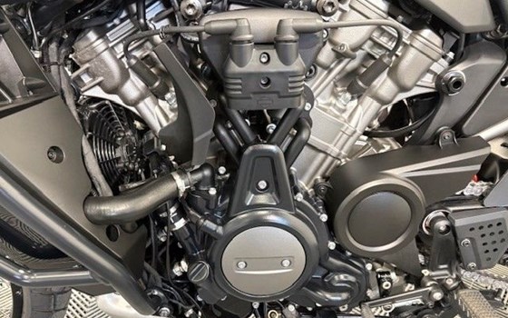 Gebrauchtmotorrad Harley-Davidson Pan America 1250 Special - Bild 3