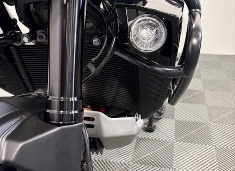 Gebrauchtmotorrad Harley-Davidson Pan America 1250 Special - Bild 7