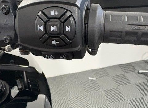 Gebrauchtmotorrad Harley-Davidson Pan America 1250 Special - Bild 9